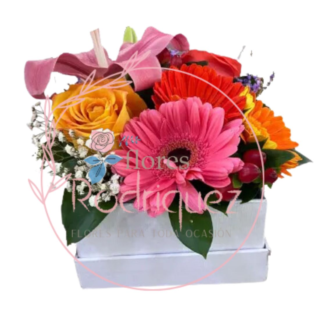 Espectacular Caja de Flores para Regalar, Gerberas, Rosas, Lirios y Margartitas en Combinación Perfecta