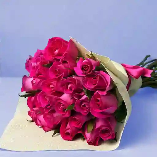 Ramo de 24 Rosas Fucsia en Bogotá a Domicilio