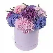 Arreglo de Hortensias Multicolor Grande