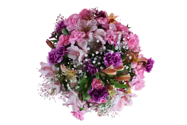 Ramo de Clavel Y Astromelias Expresión Floral a Domicilio