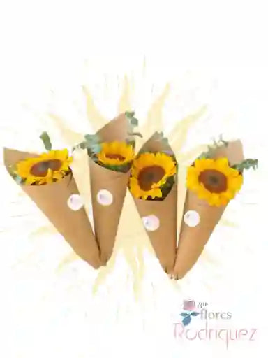 4 Girasoles Individuales para Regalar