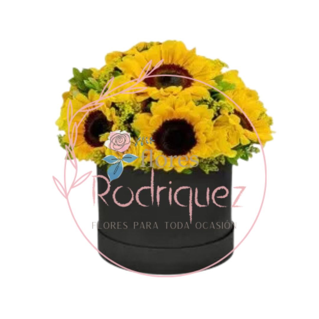 Hermosa Caja de Girasoles Delux
