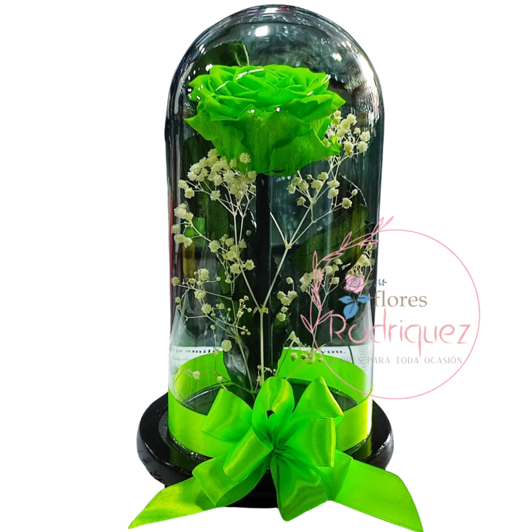 Rosa Eterna Verde Inmortalizada Preservada a Domiclio