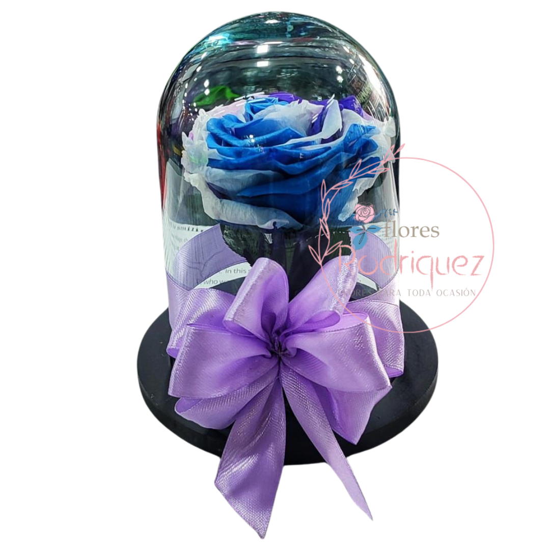 Rosa Pequeña Azul Eterna Inmortalizada - Belleza Duradera de 5 Años con Elegante Decoración