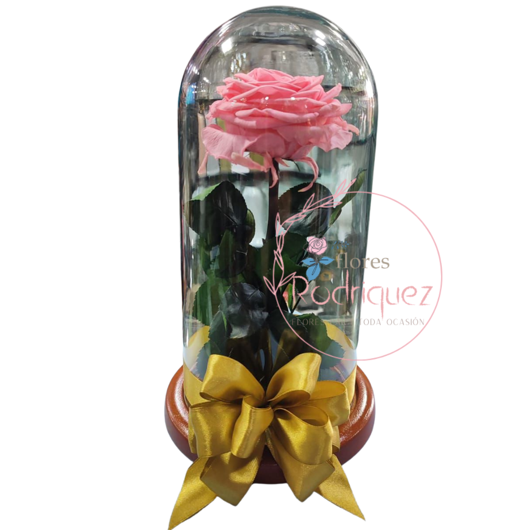 Rosa Eterna Preservada Inmortalizada Rosada a Domicilio