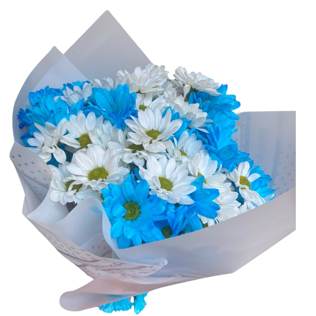 Ramo para Hombre de Margaritas Blancas y Azules – Un Detalle Fresco y Elegante