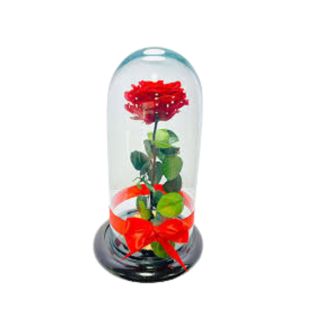 Rosas Eternas Inmortalizadas