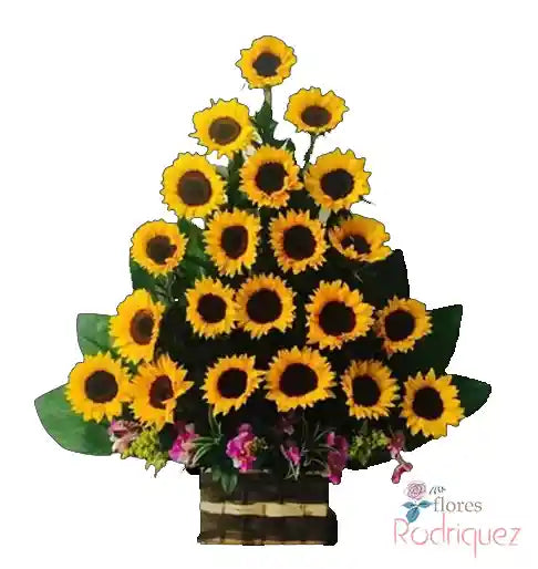 Arreglo de Girasoles Para Regalar a Domicilio