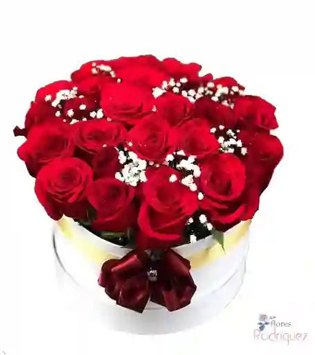 Caja de 24 Rosas Rojas con Gipsófilia