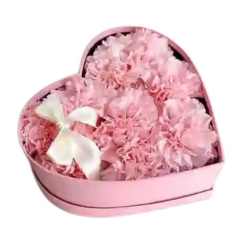 Claveles Rosados en Caja de Corazon - Un Detalle Lleno de Ternura