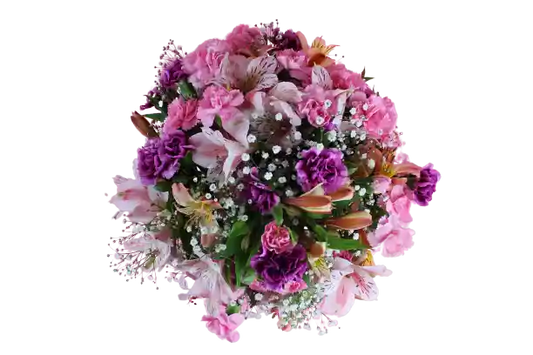 Ramo de Clavel Y Astromelias Expresión Floral a Domicilio