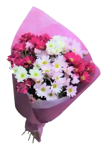 Ramo de Margaritas Explosion Pastel