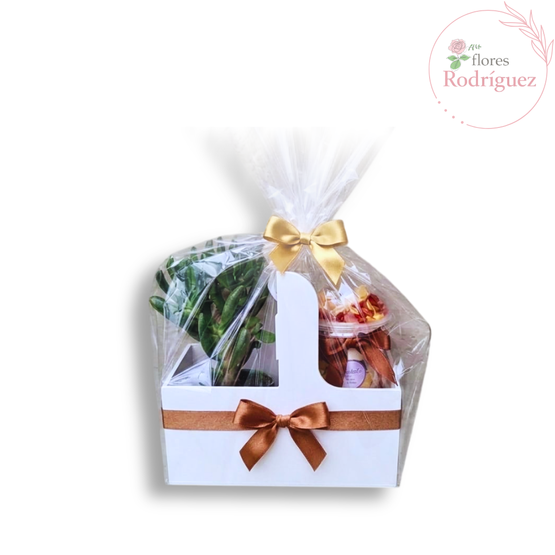 Desayuno detalle sorpresa para hombre - SUCULENT PARFAIT
