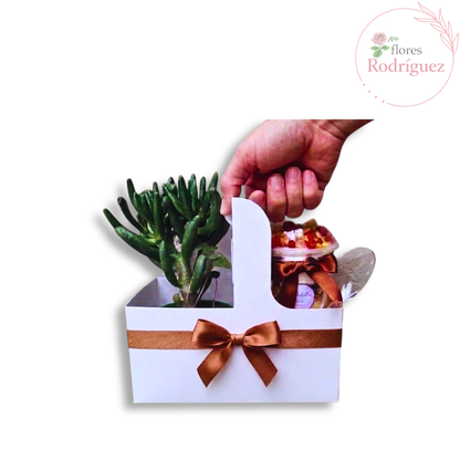 Desayuno detalle sorpresa para hombre - SUCULENT PARFAIT
