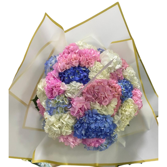 Bouquet de 36 Hortensias Amanecer de Colores