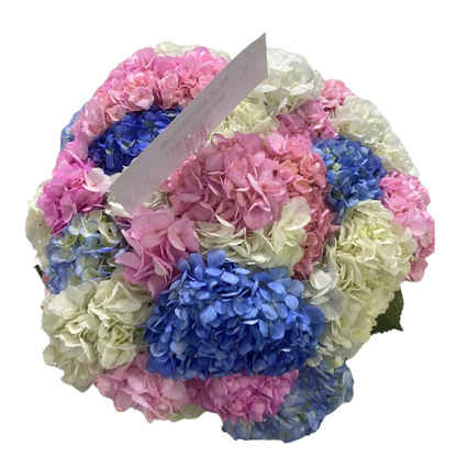 Bouquet de 36 Hortensias Amanecer de Colores