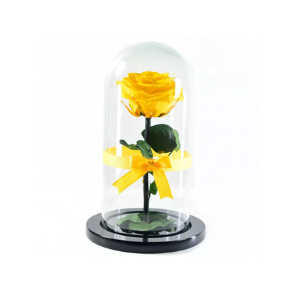 Rosa Amarilla Eterna Inmortalizada Preservada - Duración 7 Años de Belleza Permanente