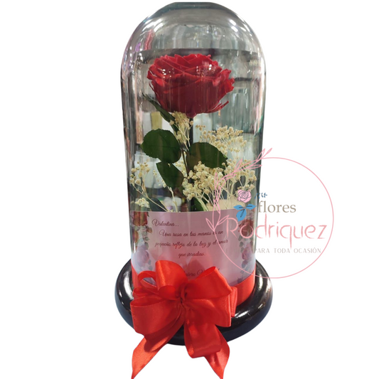 Rosa Eterna Roja