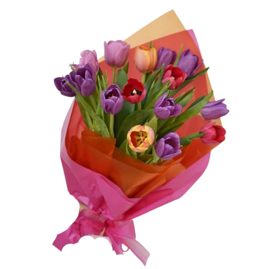 Tulipanes Bogotá a Domicilio