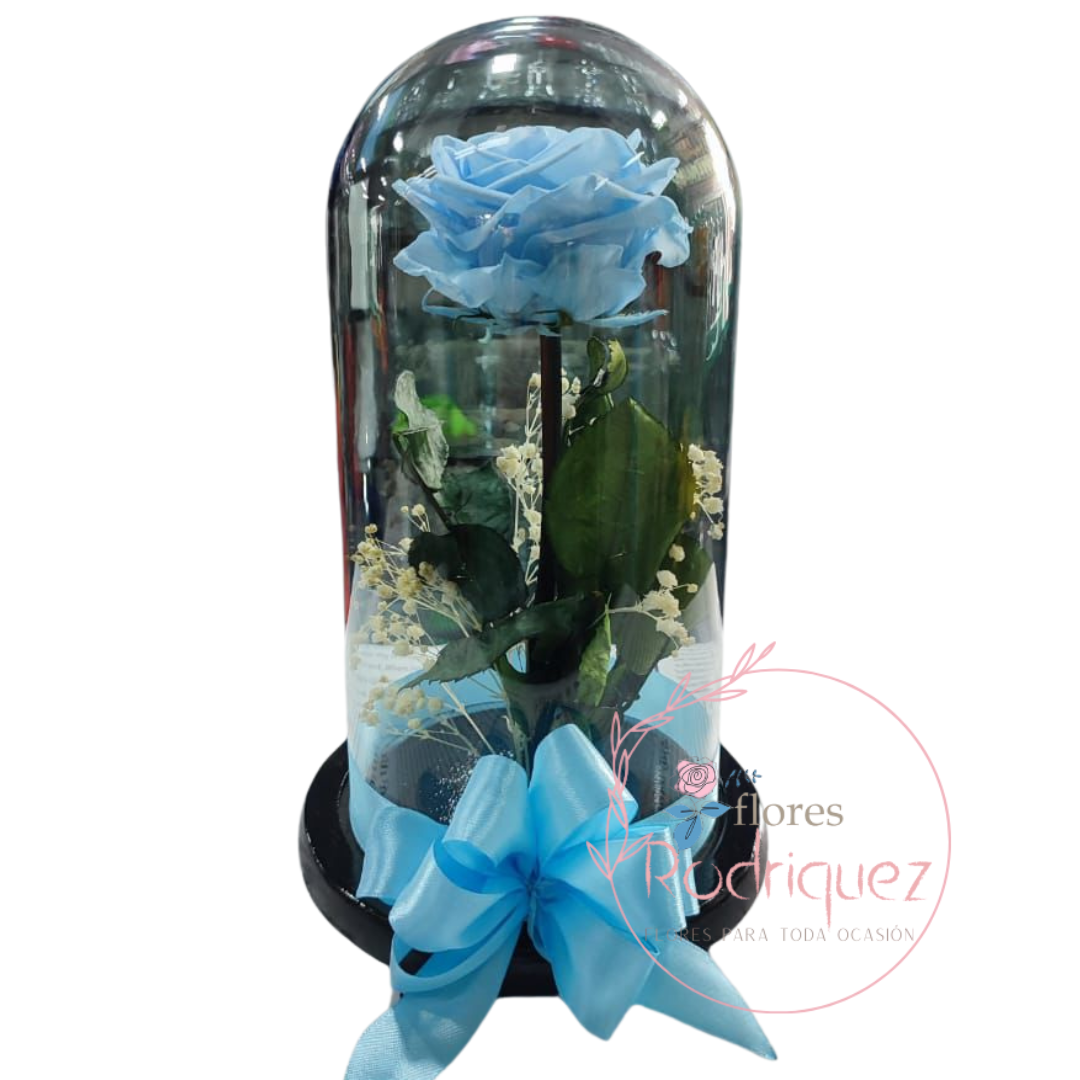 Rosa Eterna Azul Bebe Preservada Inmortalizada con Decoración y Moño Duracion 7 años