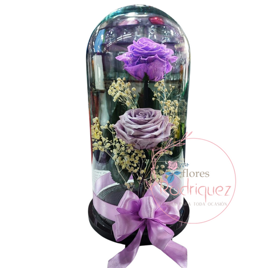 Dos Rosas Eternas Inmortalizada con Color Purpura Decoración y Moño