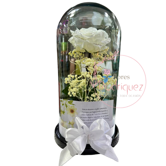 Rosas Eternas Inmortalizada Blanca con Decoración de 10 año con Mensaje Personalizado