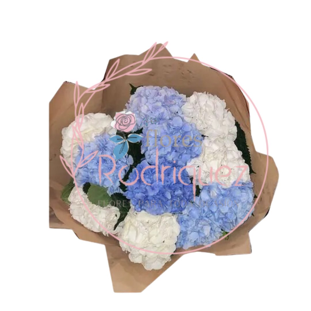 Ramo de Hortensias de la Mejor Calidad – Elegancia Natural en Cada Vara
