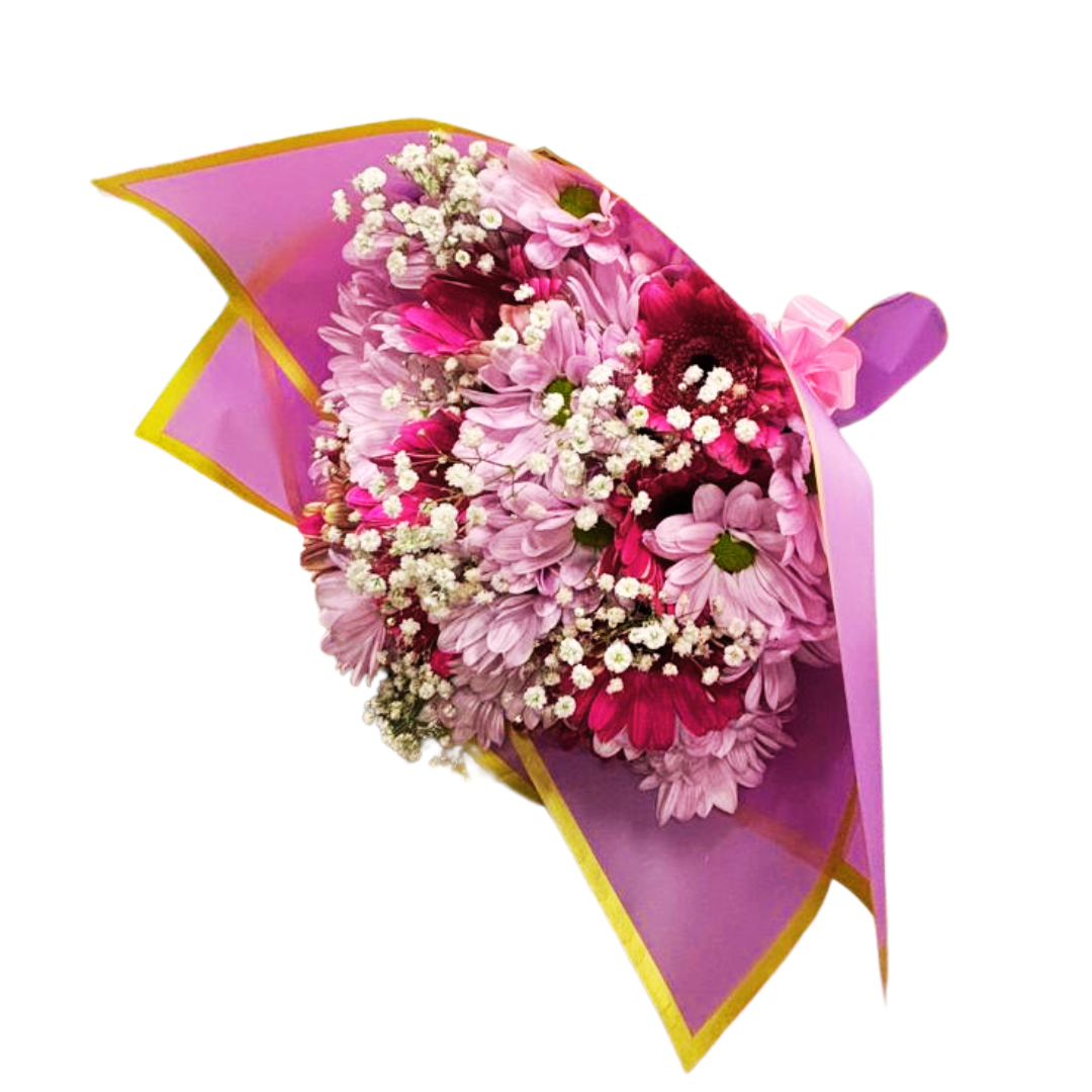 Ramo de Margaritas Moradas y Lila para Bogotá