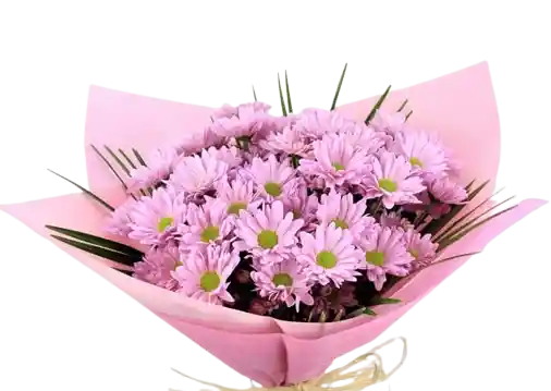 Bouquet de Margaritas Lilas – Un Toque de Ternura